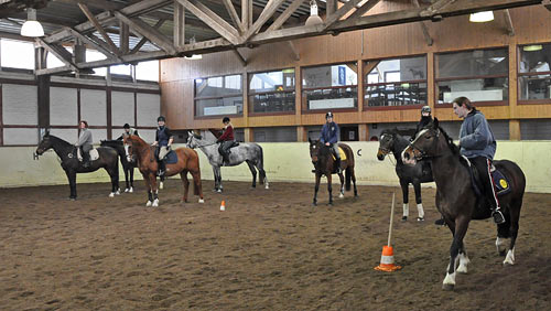 Mounted Games